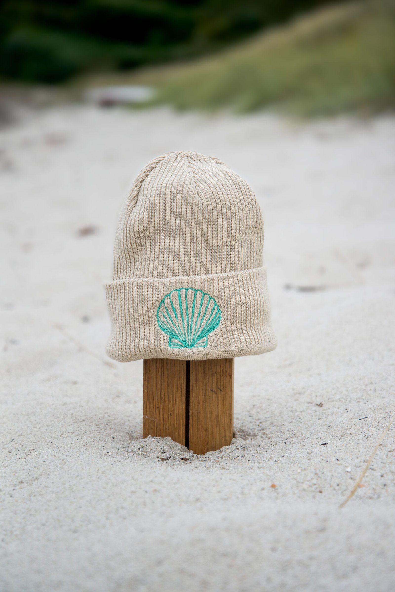 Shell Beanie